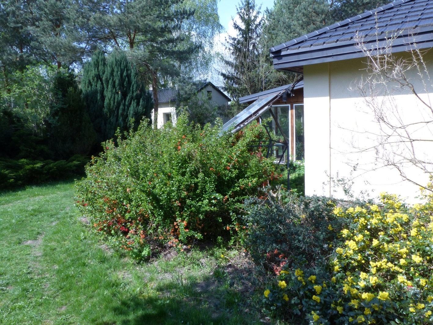 Posiadłość pod Warszawą 4,6ha – Budy Michałowskie – zdjęcie 7