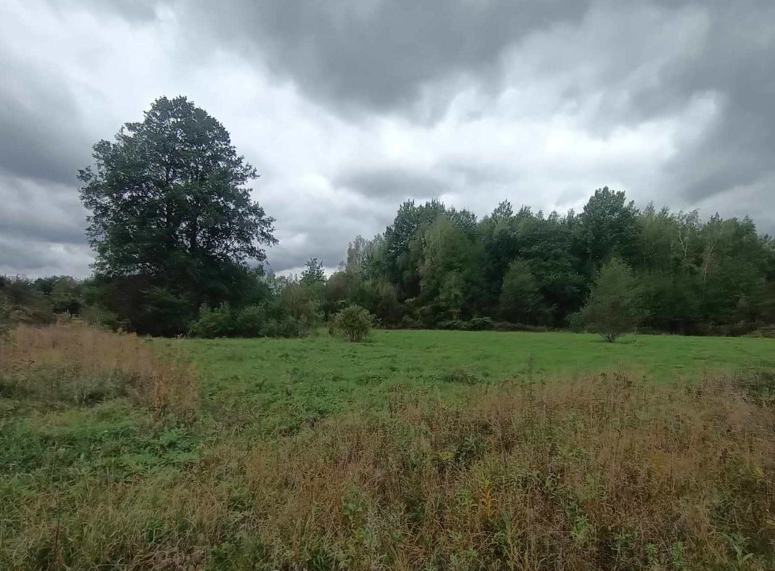 Posiadłość pod Warszawą 4,6ha – Budy Michałowskie – zdjęcie 9