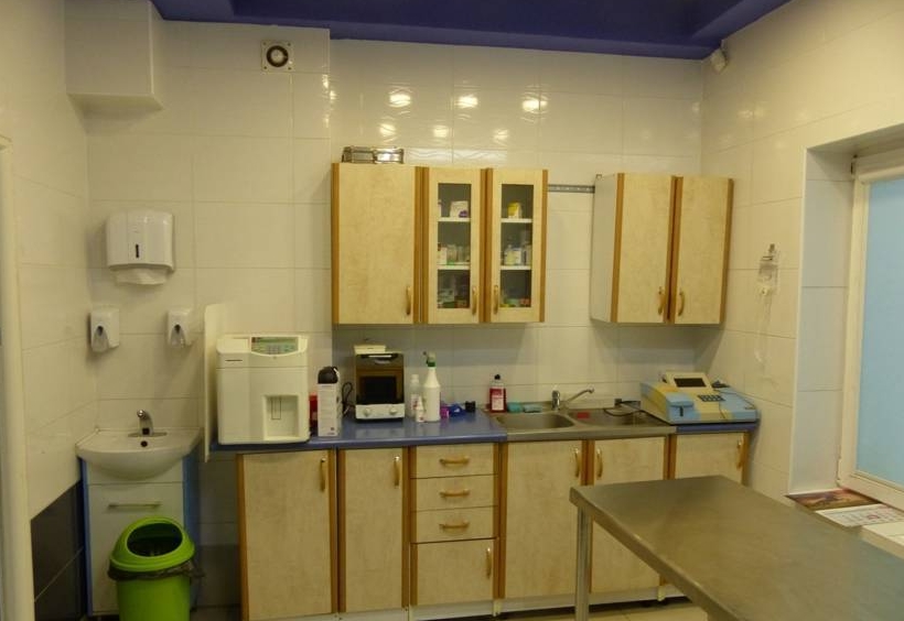 Budynek mieszkalno-użytkowy blisko Warszawy, 137 m² – Międzyborów – zdjęcie 3