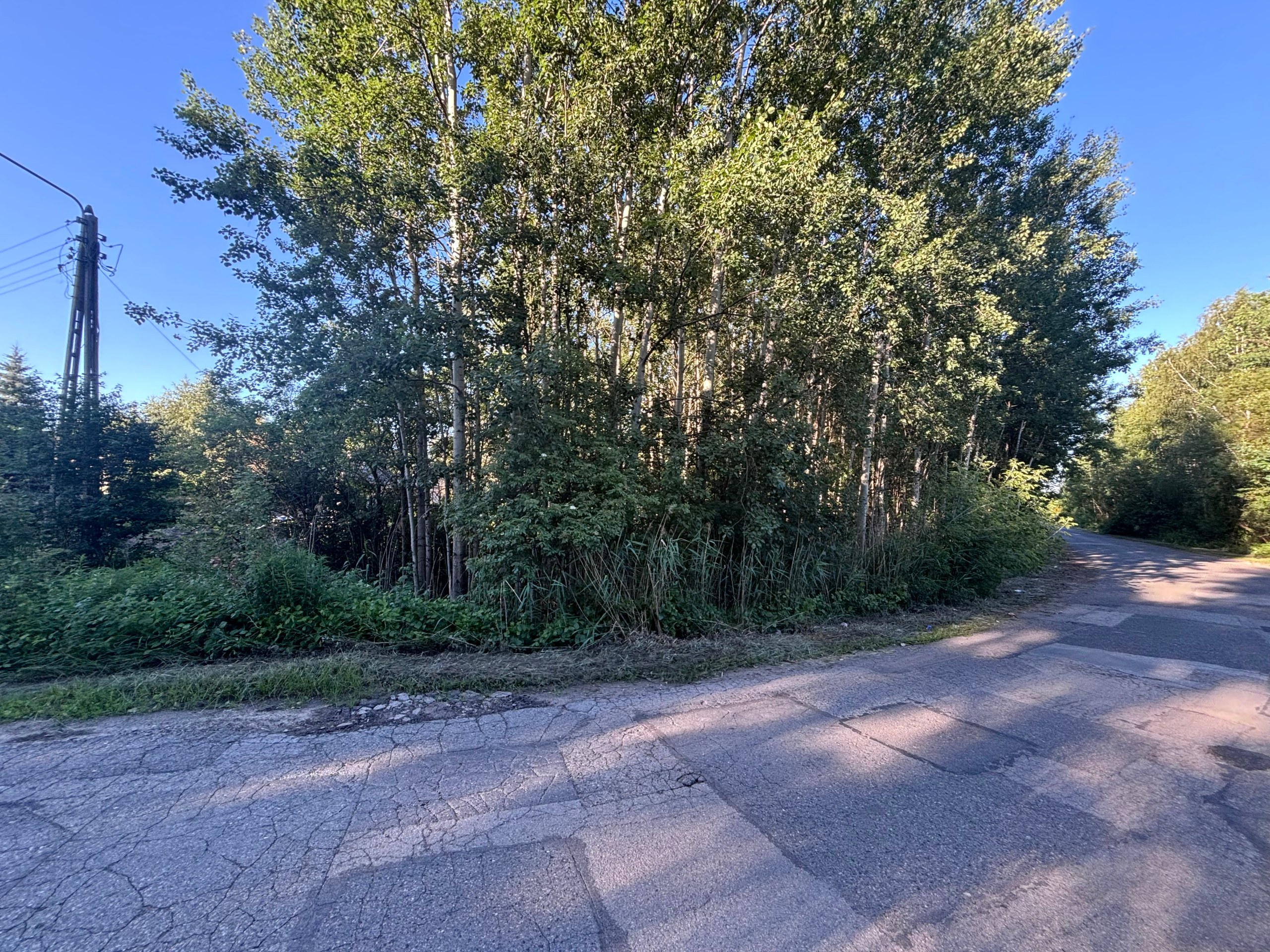 Pakiet 2 działek w zielonej części Skarżyska-Kamiennej – 4 291 m² – Skarżysko-Kamienna – zdjęcie 3
