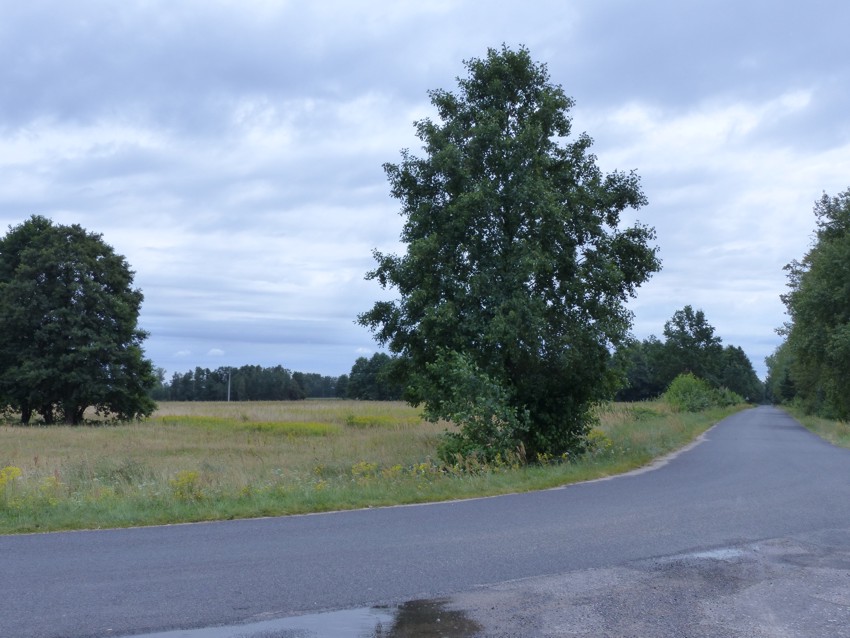 Prawie 9ha z WZ na 4 siedliska, strefa usługowa, 88 500 m² – Małomin – zdjęcie 3