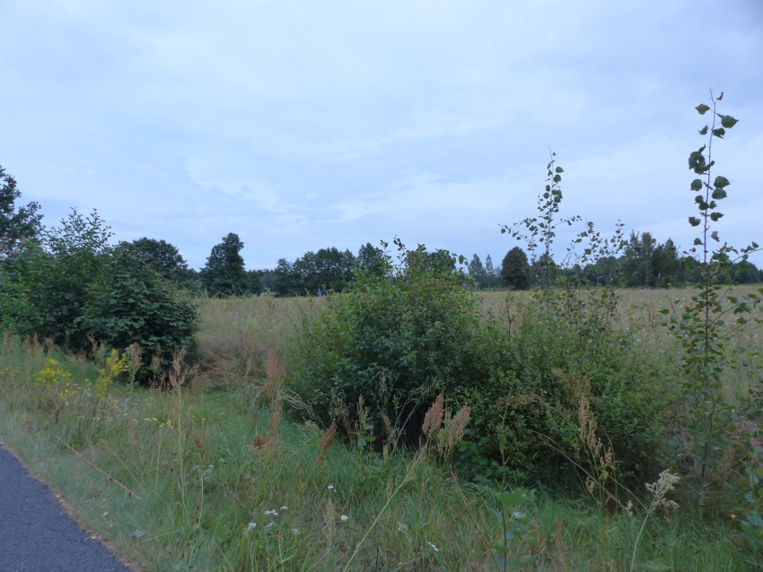 Prawie 9ha z WZ na 4 siedliska, strefa usługowa, 88 500 m² – Małomin – zdjęcie 5