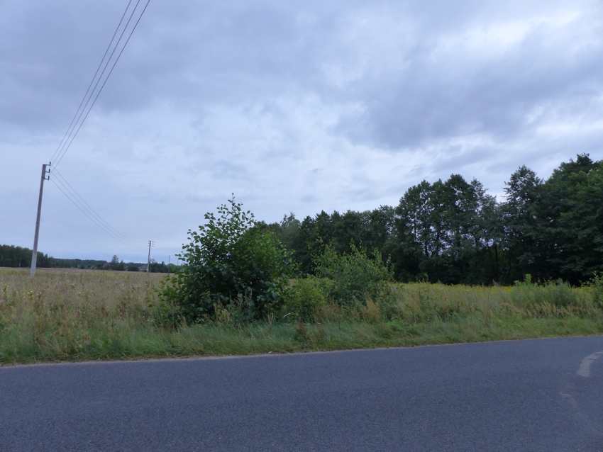 Prawie 9ha z WZ na 4 siedliska, strefa usługowa, 88 500 m² – Małomin – zdjęcie 7