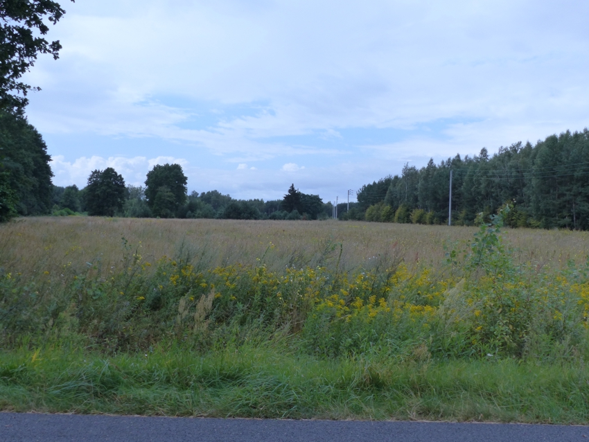 Prawie 9ha z WZ na 4 siedliska, strefa usługowa, 88 500 m² – Małomin – zdjęcie 10