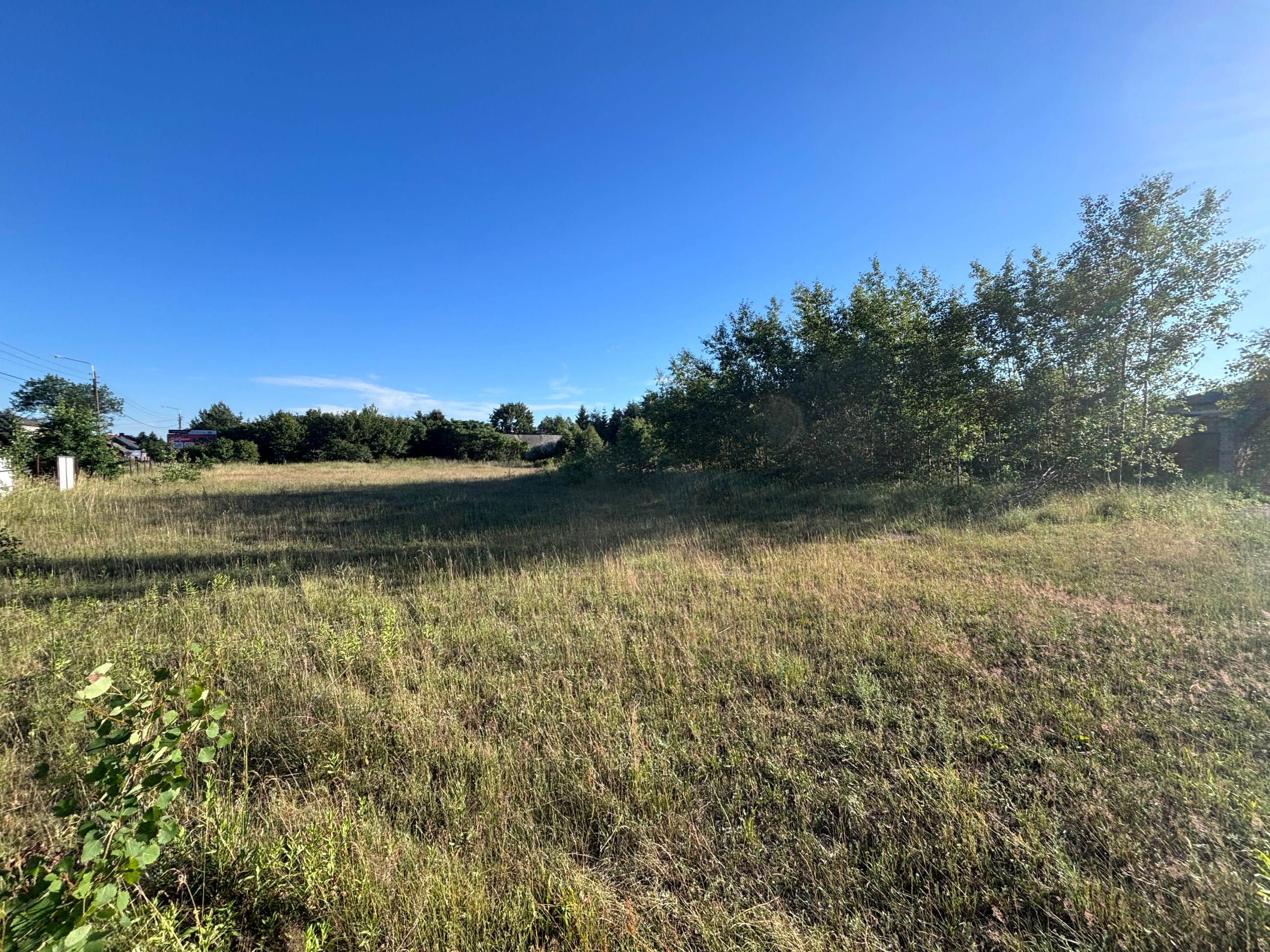 Duża działka 5 609 m² przy drodze – Skarżysko-Kamienna – zdjęcie 2