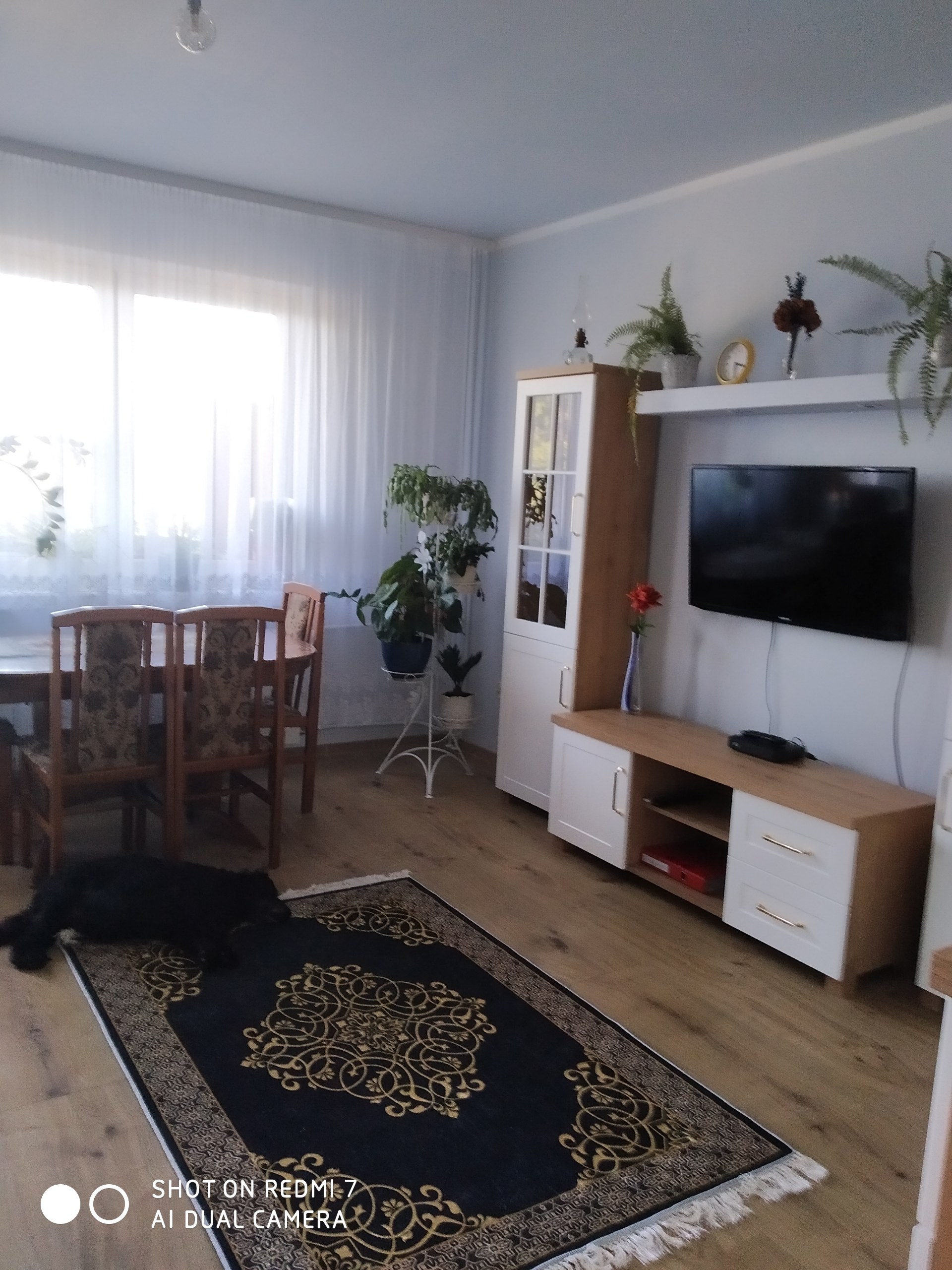 Sprzedam mieszkanie spółdzielcze, własnościowe M-4, 59 m² – Suchedniów – zdjęcie 4
